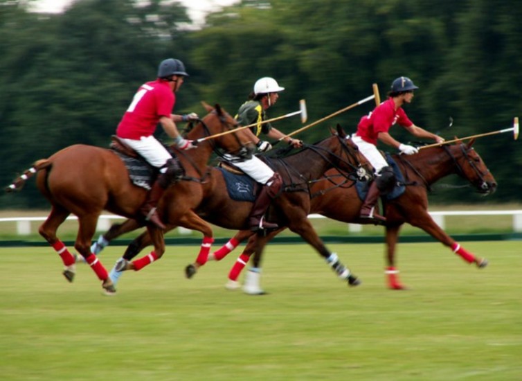 polo-game-1378546